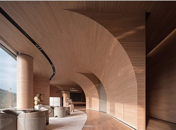 PHOMI Brick For Various Residential Facade